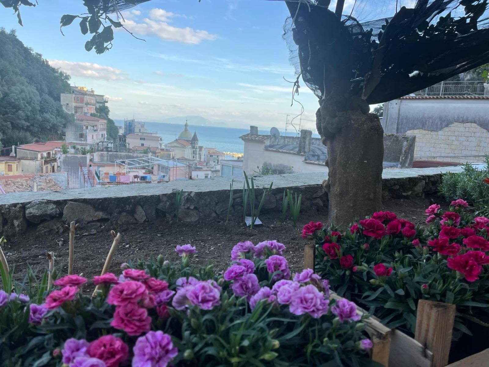 Casa Nel Borgo Dei Gatti Apartment เชตารา ภายนอก รูปภาพ